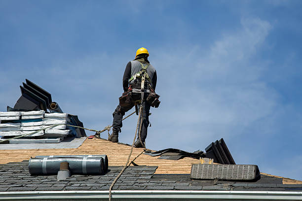 Professional Roofing technician working in Stanwood, IA